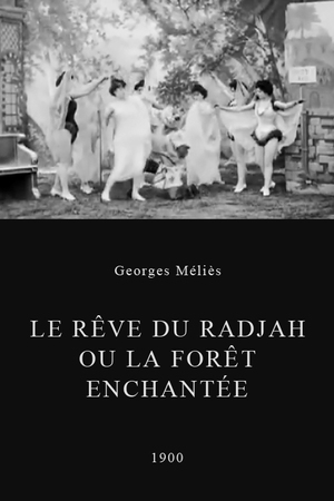 En dvd sur amazon Le rêve du radjah ou La forêt enchantée