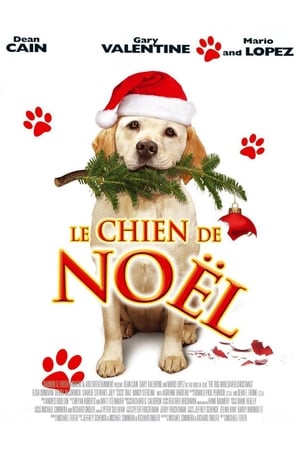 En dvd sur amazon The Dog Who Saved Christmas
