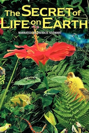 En dvd sur amazon The Secret of Life on Earth