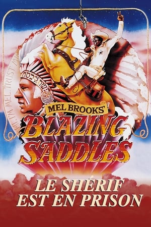 En dvd sur amazon Blazing Saddles