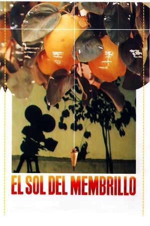 En dvd sur amazon El sol del membrillo