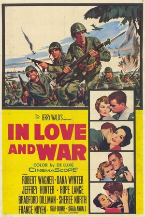 En dvd sur amazon In Love and War