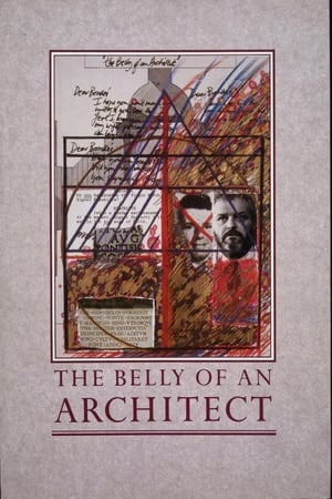 En dvd sur amazon The Belly of an Architect