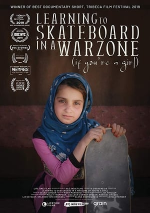 En dvd sur amazon Learning to Skateboard in a Warzone (If You're a Girl)