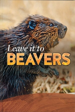 En dvd sur amazon Leave it to Beavers