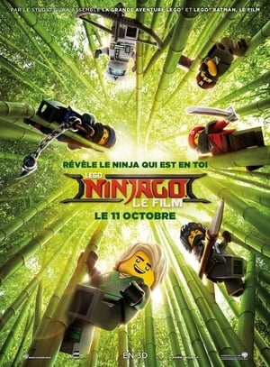 En dvd sur amazon The Lego Ninjago Movie