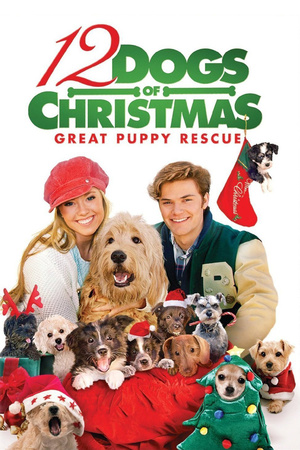En dvd sur amazon 12 Dogs of Christmas: Great Puppy Rescue