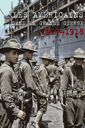 En dvd sur amazon Les Américains dans la Grande Guerre, 1917-1918