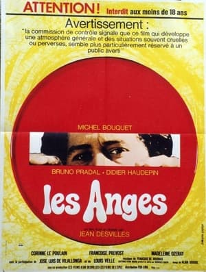 En dvd sur amazon Les anges