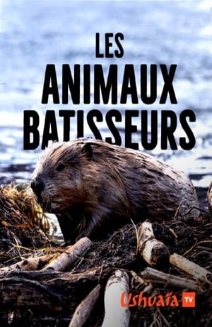 En dvd sur amazon Les Animaux bâtisseurs