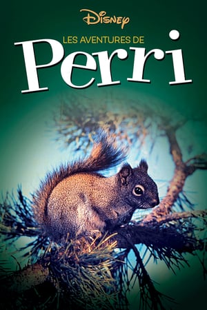 En dvd sur amazon Perri