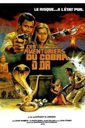 En dvd sur amazon I cacciatori del cobra d'oro