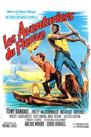 En dvd sur amazon The Adventures of Huckleberry Finn