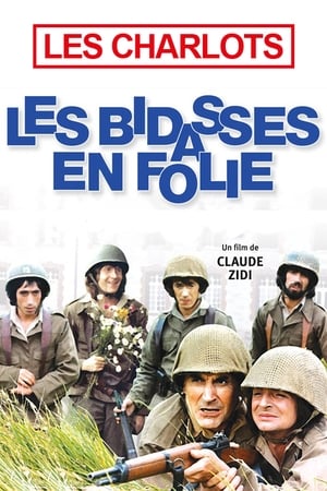 En dvd sur amazon Les bidasses en folie