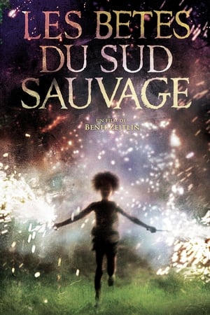 En dvd sur amazon Beasts of the Southern Wild