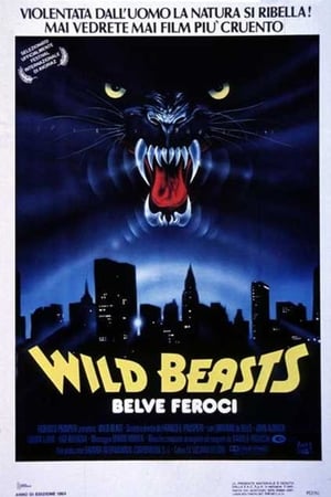 En dvd sur amazon Wild Beasts - Belve feroci