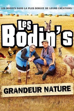 En dvd sur amazon Les Bodin's : Grandeur Nature (@Zenith de Limoges)