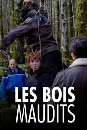 En dvd sur amazon Les Bois maudits