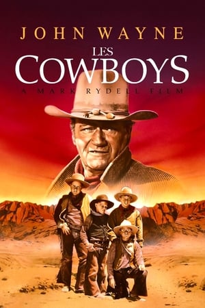 En dvd sur amazon The Cowboys