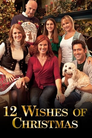 En dvd sur amazon 12 Wishes of Christmas