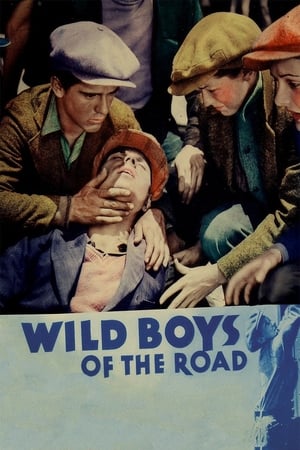 En dvd sur amazon Wild Boys of the Road