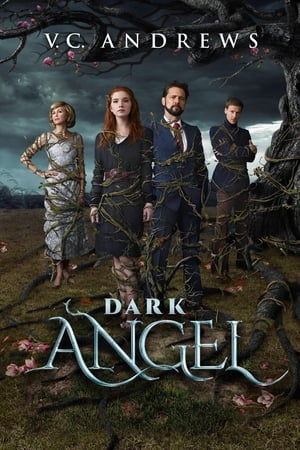 En dvd sur amazon Dark Angel