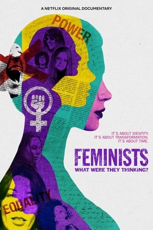 En dvd sur amazon Feminists: What Were They Thinking?
