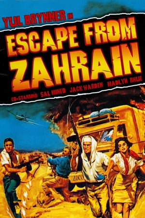 En dvd sur amazon Escape from Zahrain