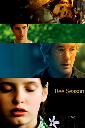 En dvd sur amazon Bee Season