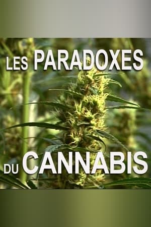 En dvd sur amazon Les paradoxes du cannabis