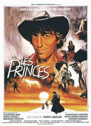 En dvd sur amazon Les Princes