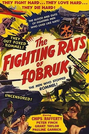 En dvd sur amazon The Rats of Tobruk