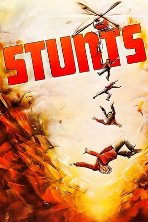 En dvd sur amazon Stunts
