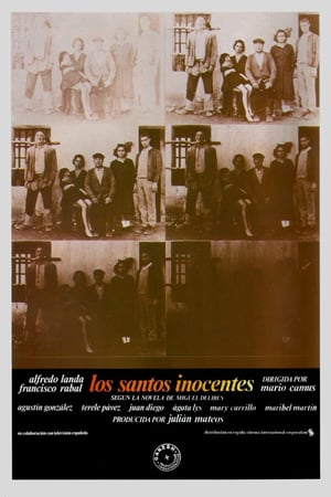 En dvd sur amazon Los santos inocentes