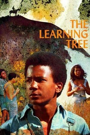 En dvd sur amazon The Learning Tree