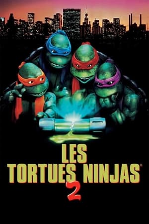 En dvd sur amazon Teenage Mutant Ninja Turtles II: The Secret of the Ooze