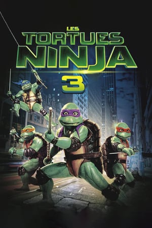 En dvd sur amazon Teenage Mutant Ninja Turtles III
