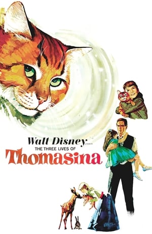 En dvd sur amazon The Three Lives of Thomasina