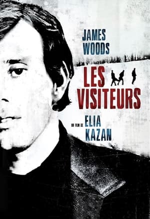 En dvd sur amazon The Visitors