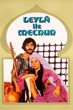 En dvd sur amazon Leyla ile Mecnun