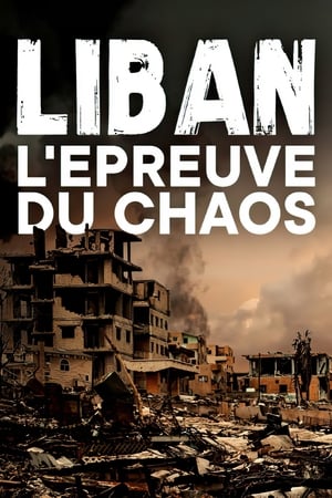 En dvd sur amazon Liban, l'épreuve du chaos