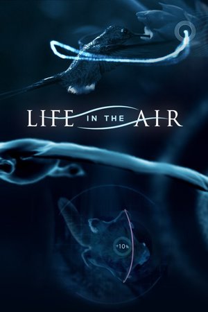En dvd sur amazon Life in the Air
