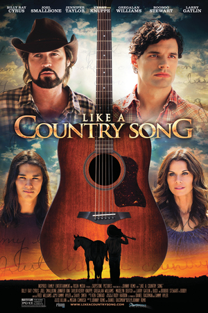 En dvd sur amazon Like a Country Song