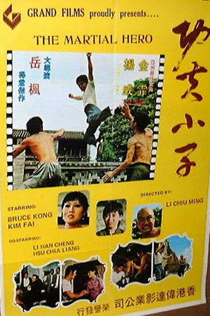 En dvd sur amazon Ling Nan zhi hu