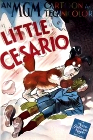 En dvd sur amazon Little Cesario