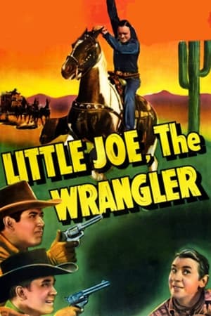 En dvd sur amazon Little Joe, the Wrangler