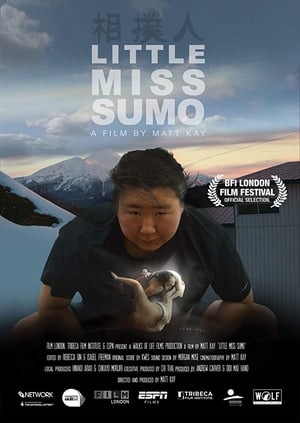 En dvd sur amazon Little Miss Sumo