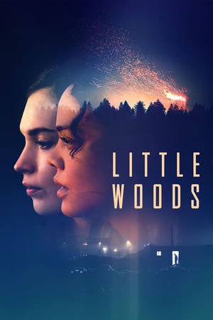 En dvd sur amazon Little Woods