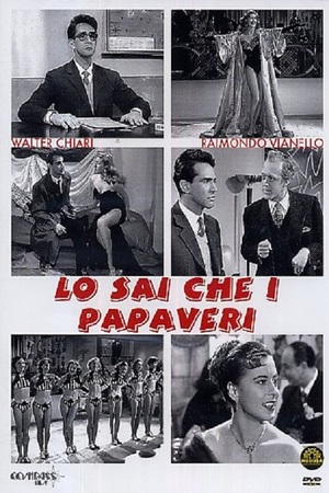 En dvd sur amazon Lo sai che i papaveri...