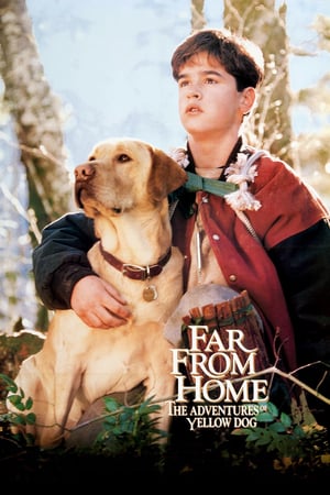 En dvd sur amazon Far from Home: The Adventures of Yellow Dog